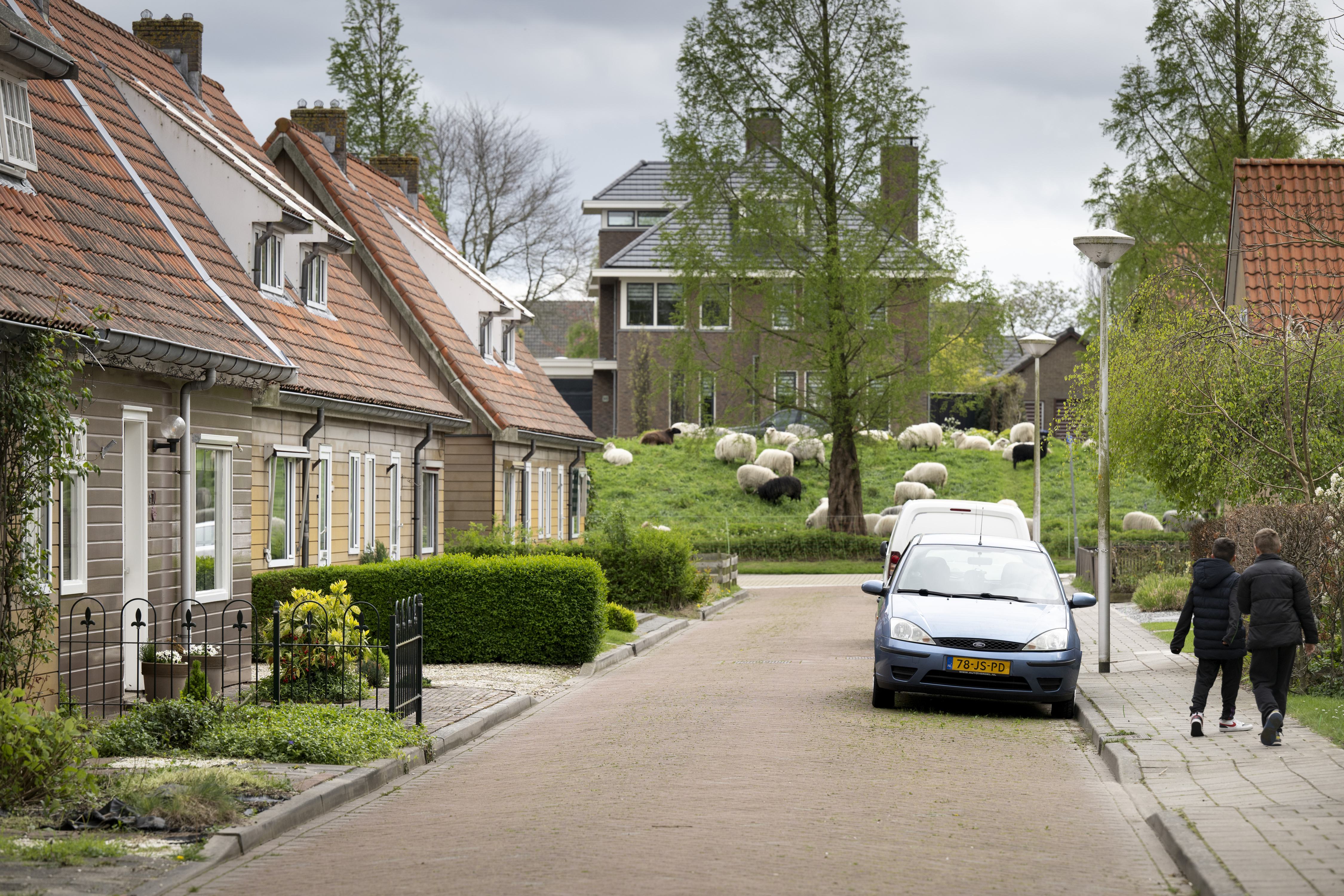 MeerWonen sloopt over vijf jaar 162 huizen in hartje Roelofarendsveen en bouwt er meer voor terug: h